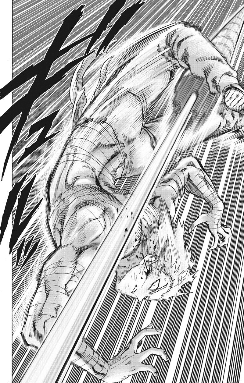 Read One Punch Man scan Manga Online