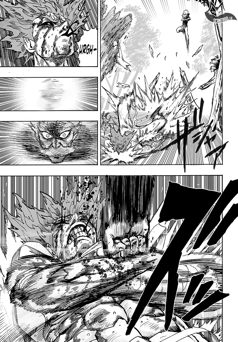 Read One Punch Man scan Manga Online