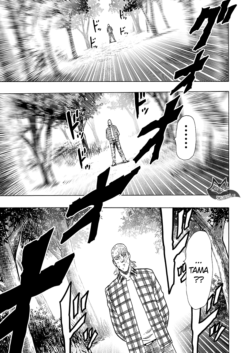 Read One Punch Man scan Manga Online