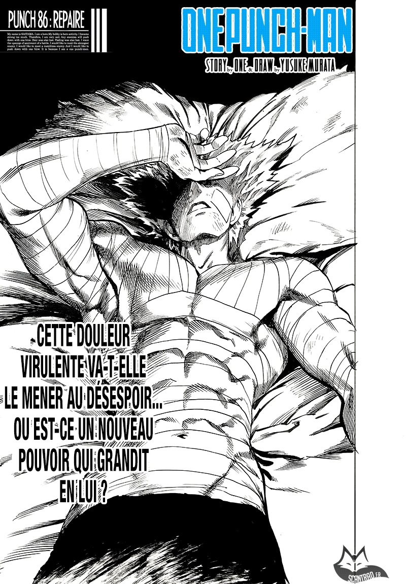 Read One Punch Man scan Manga Online
