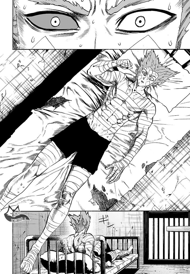 Read One Punch Man scan Manga Online