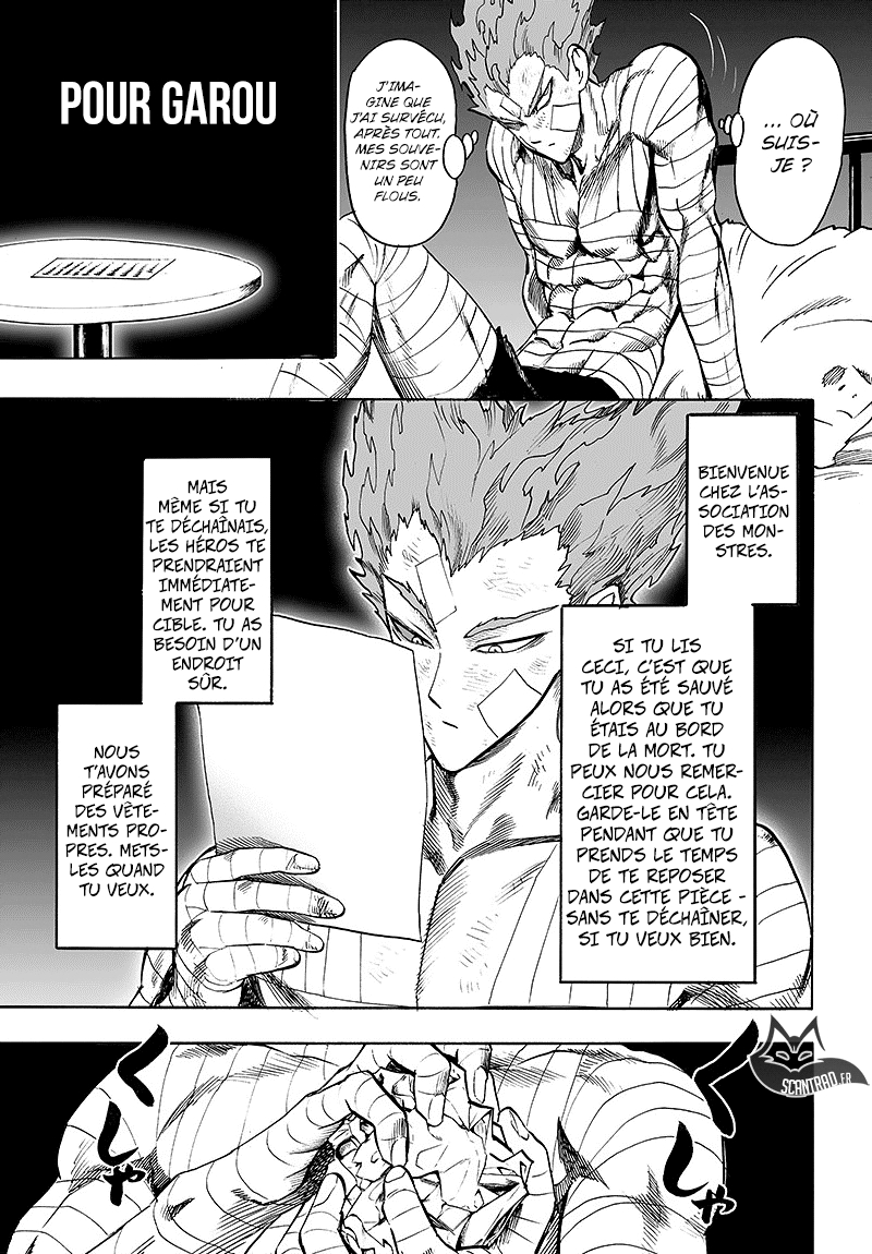 Read One Punch Man scan Manga Online