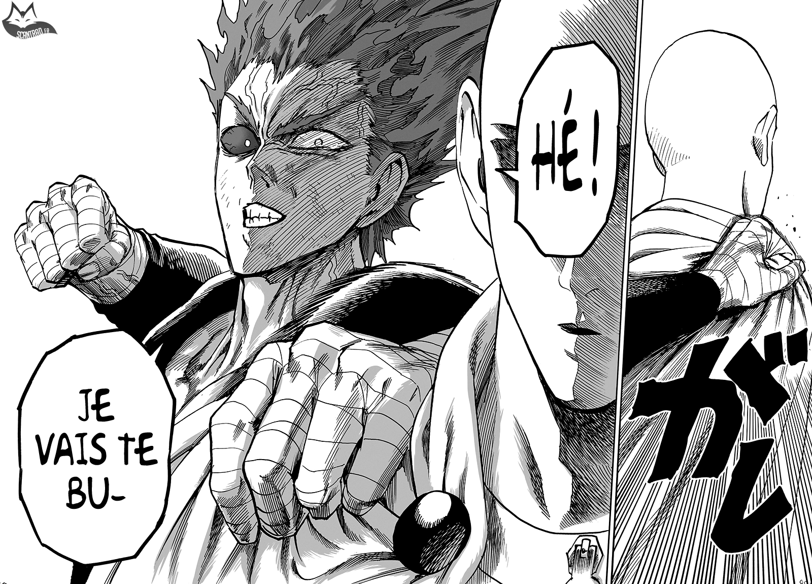 Read One Punch Man scan Manga Online