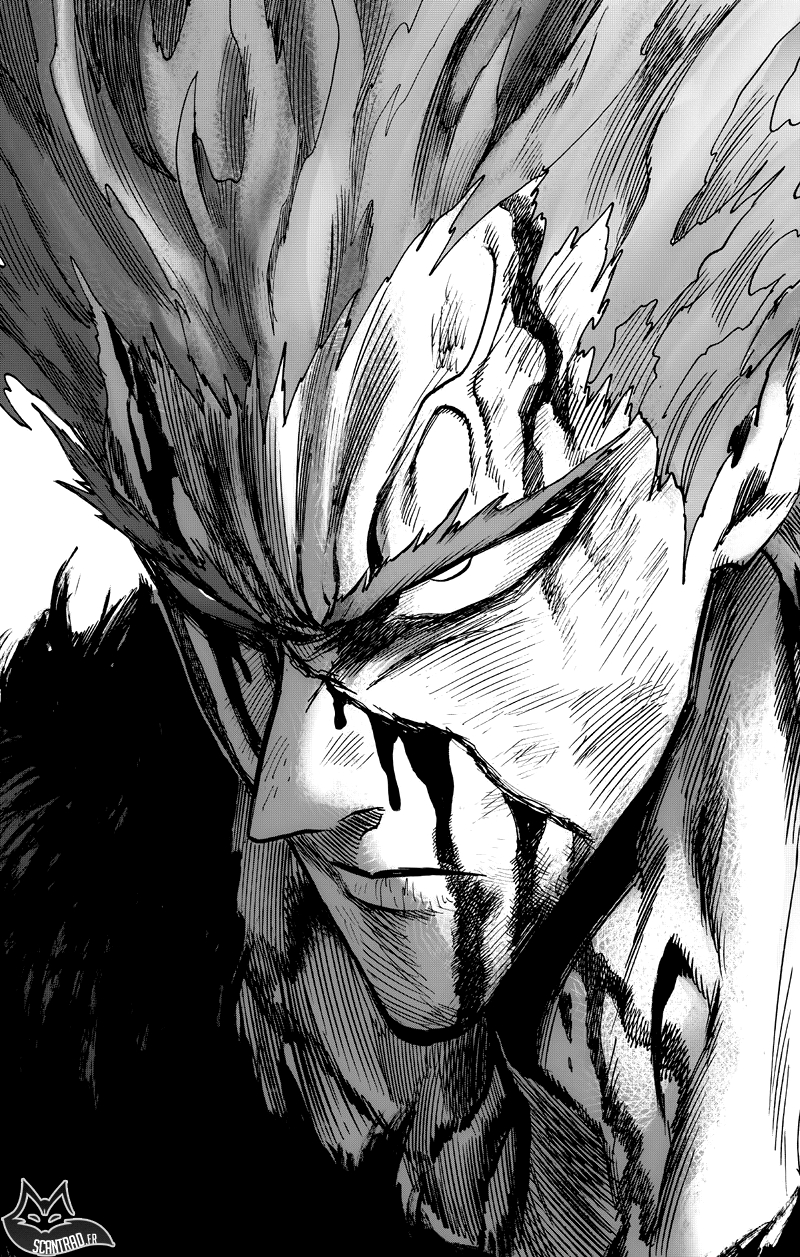 Read One Punch Man scan Manga Online