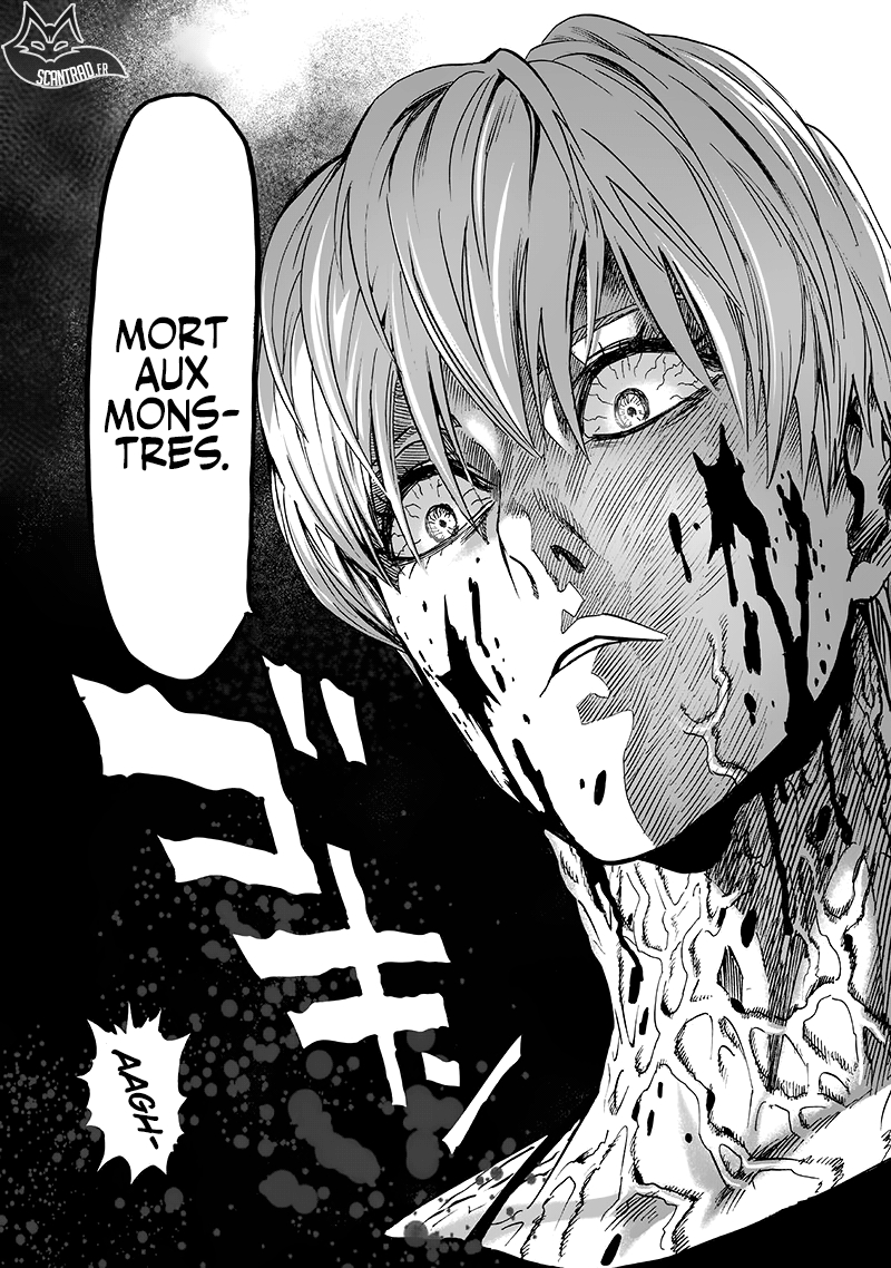 Read One Punch Man scan Manga Online