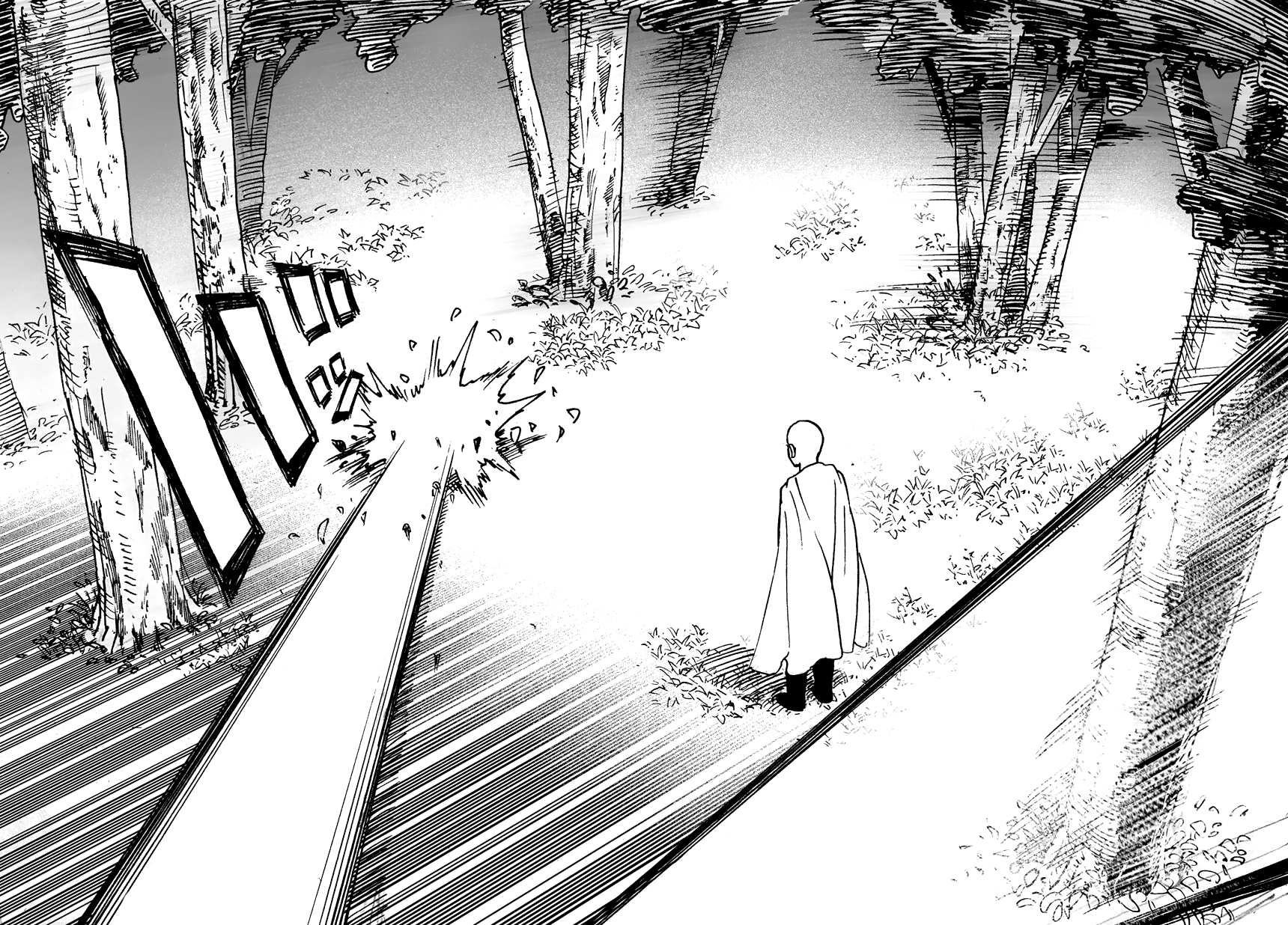 Read One Punch Man scan Manga Online