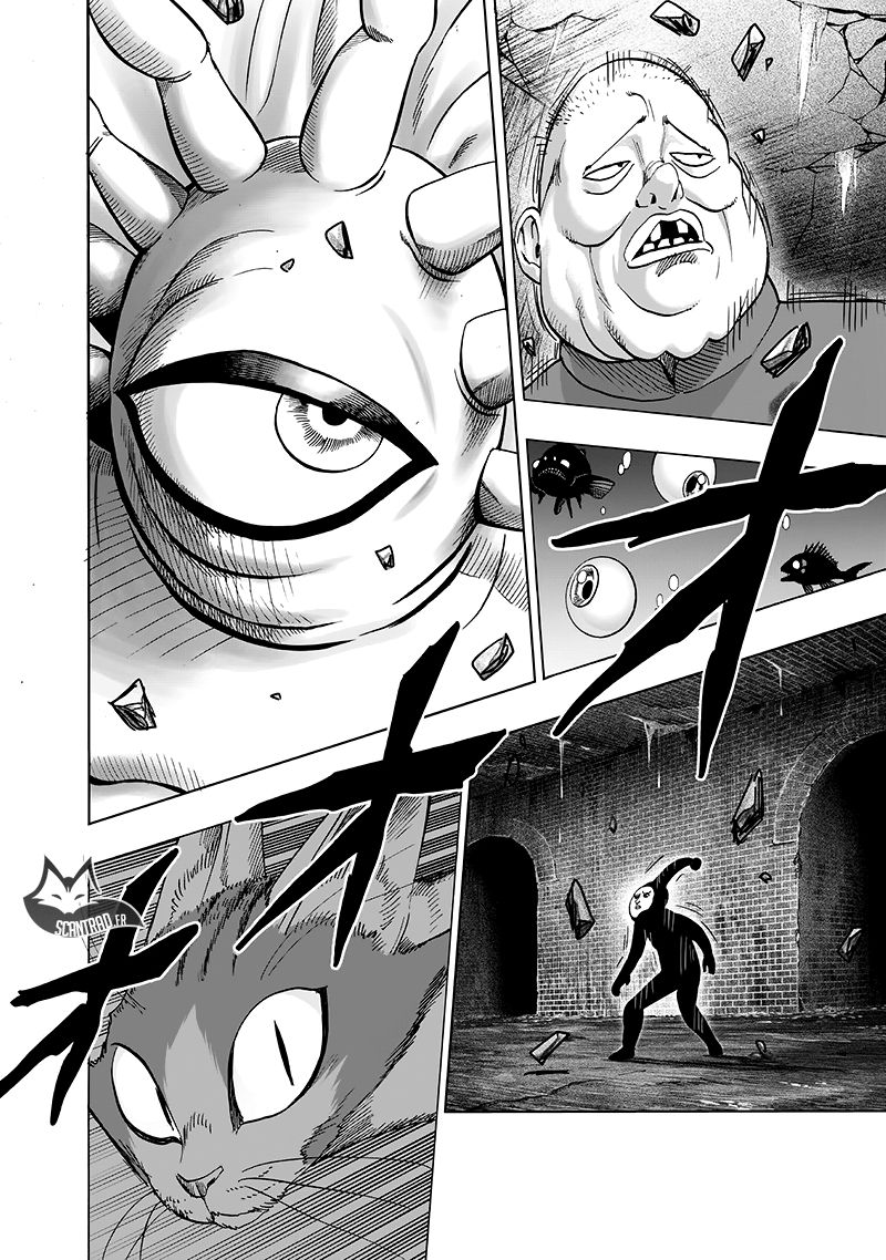 Read One Punch Man scan Manga Online