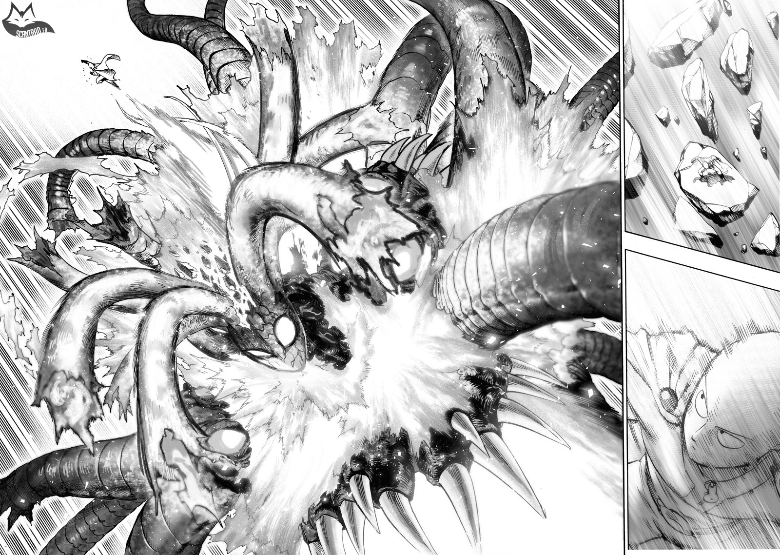 Read One Punch Man scan Manga Online