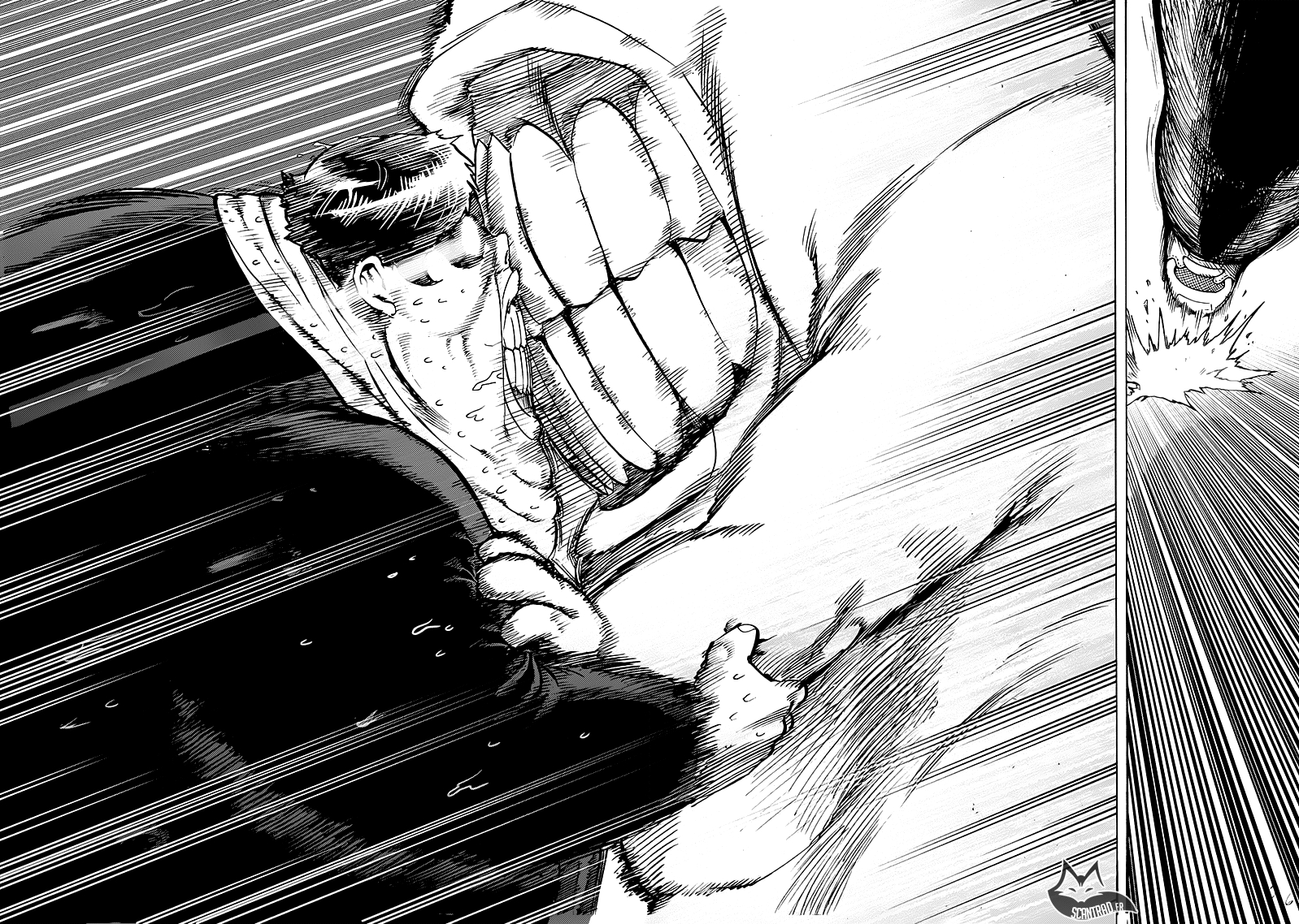 Read One Punch Man scan Manga Online