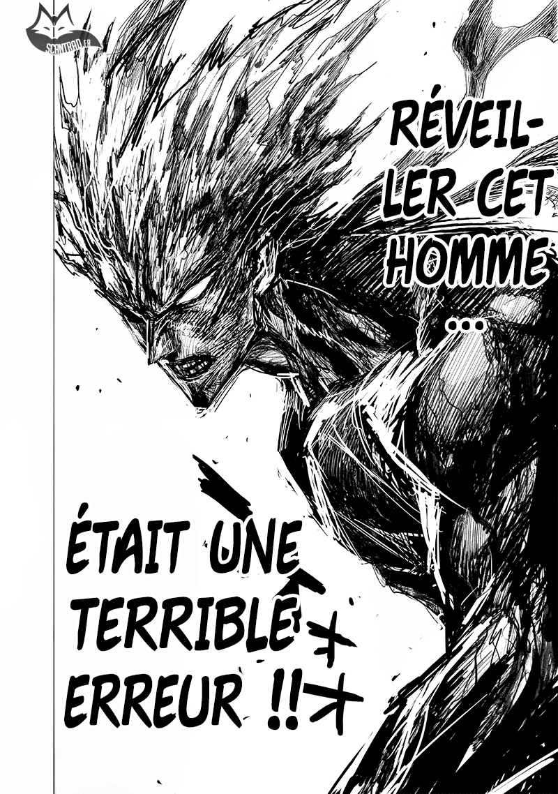 Read One Punch Man scan Manga Online