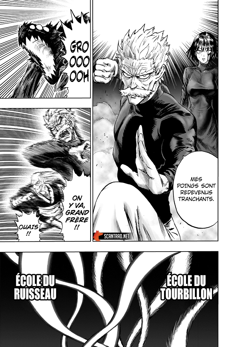 Read One Punch Man scan Manga Online