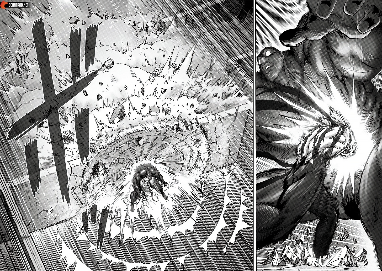 Read One Punch Man scan Manga Online