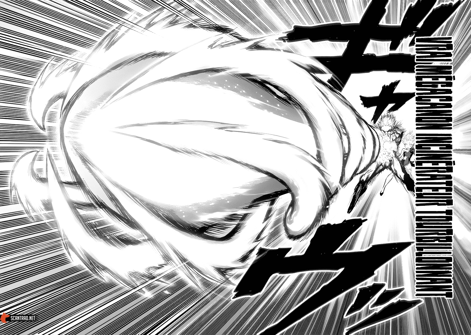 Read One Punch Man scan Manga Online