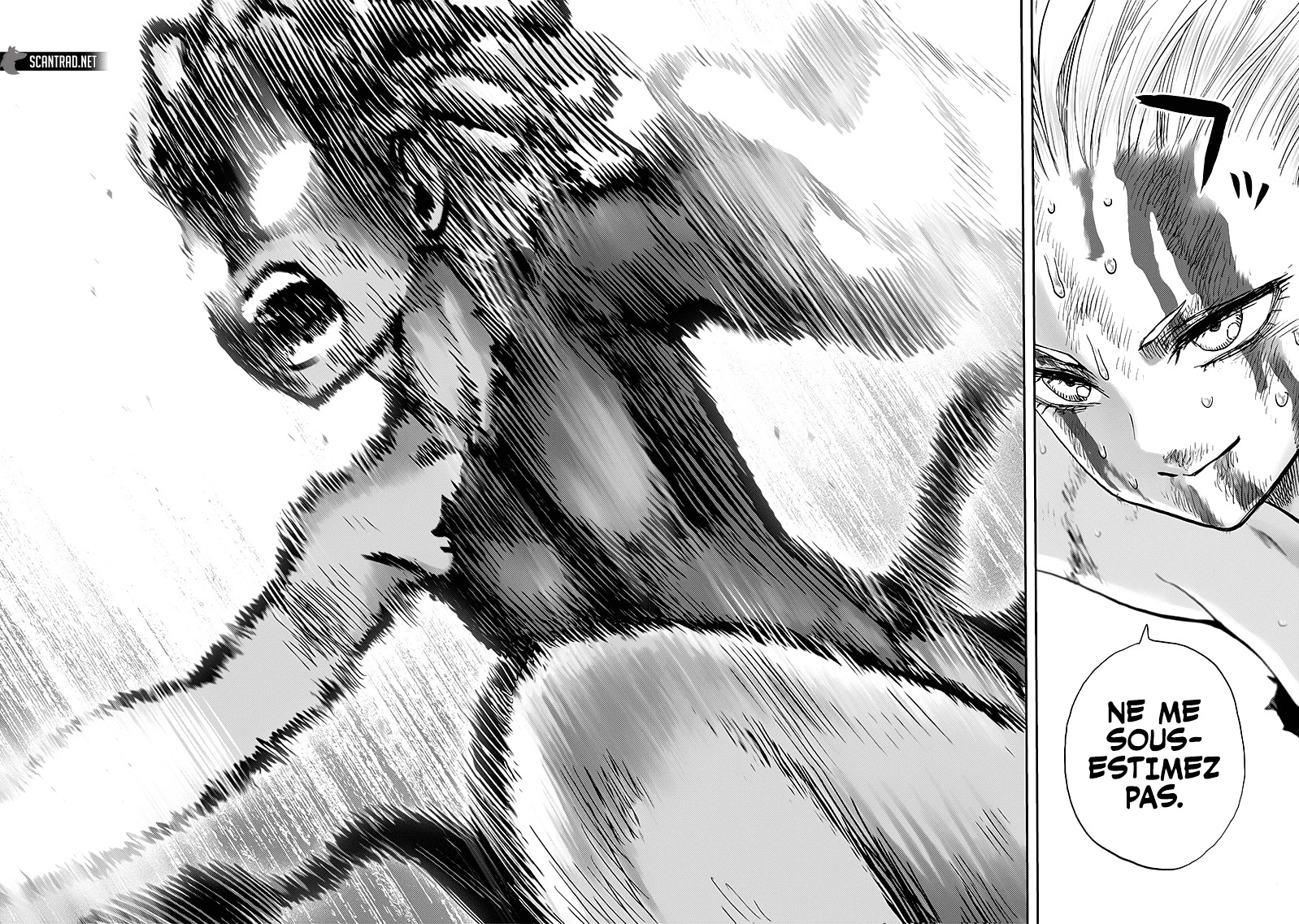 Read One Punch Man scan Manga Online