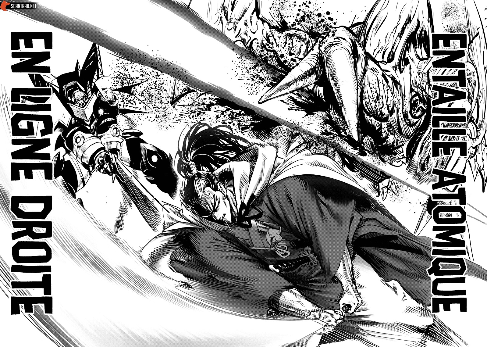 Read One Punch Man scan Manga Online