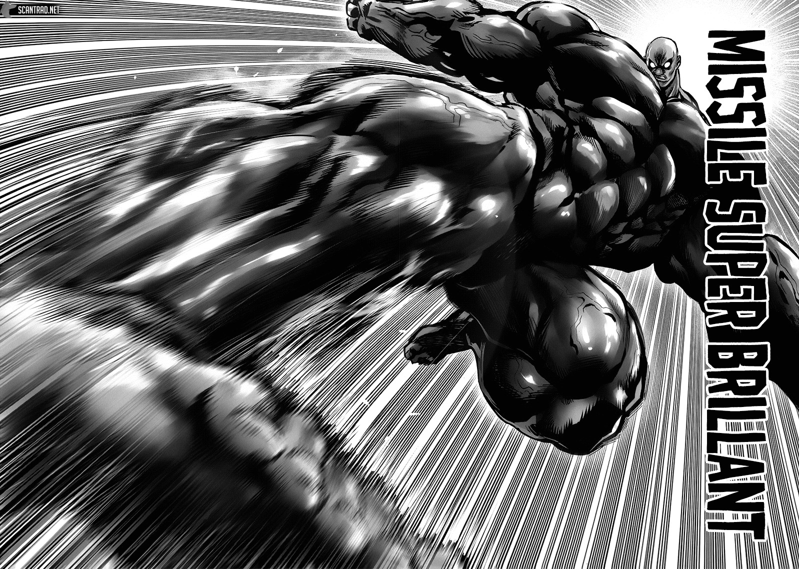 Read One Punch Man scan Manga Online