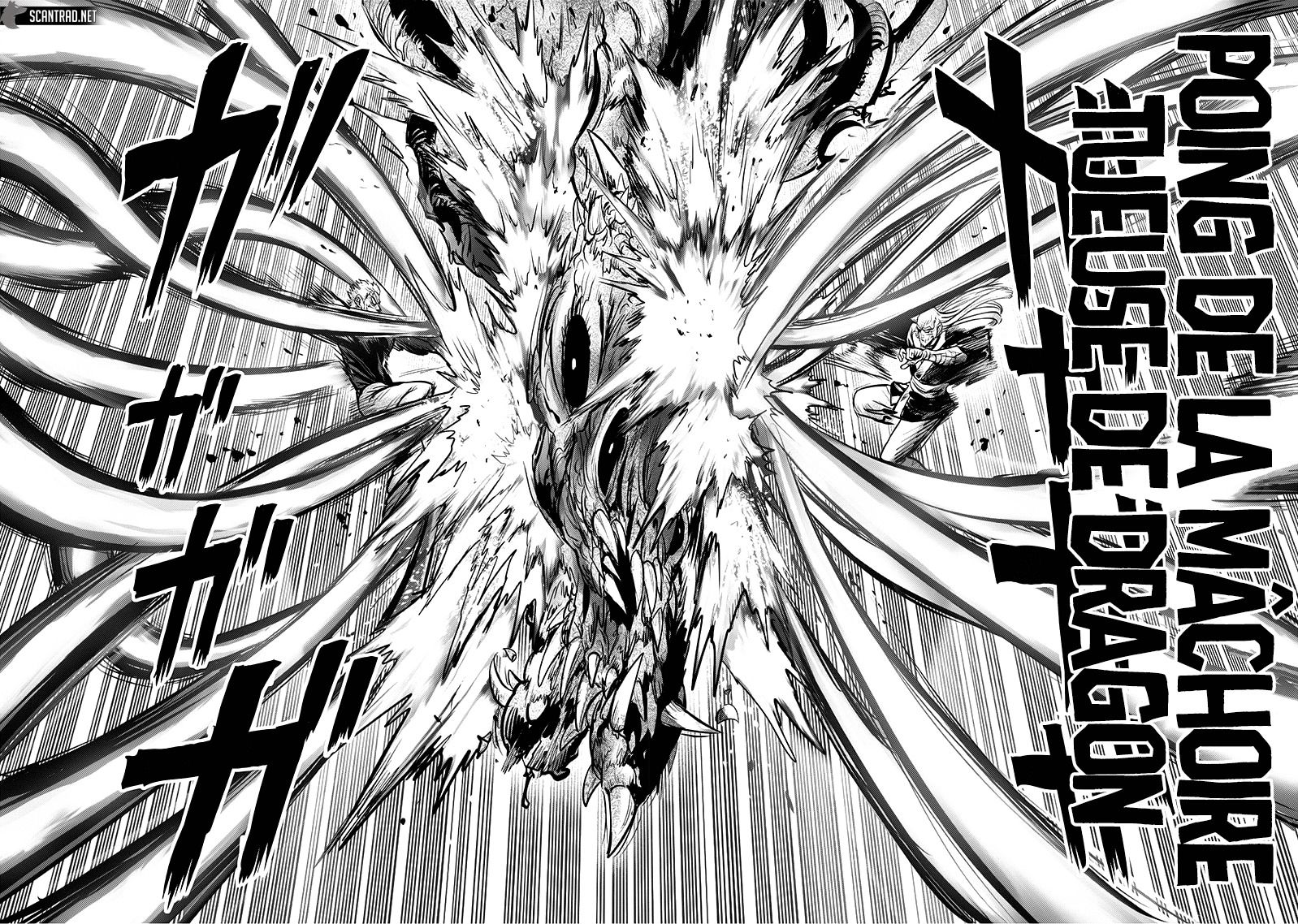 Read One Punch Man scan Manga Online