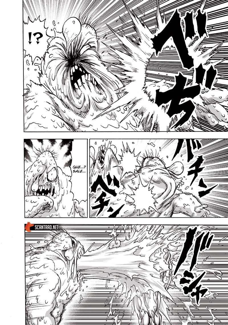 Read One Punch Man scan Manga Online