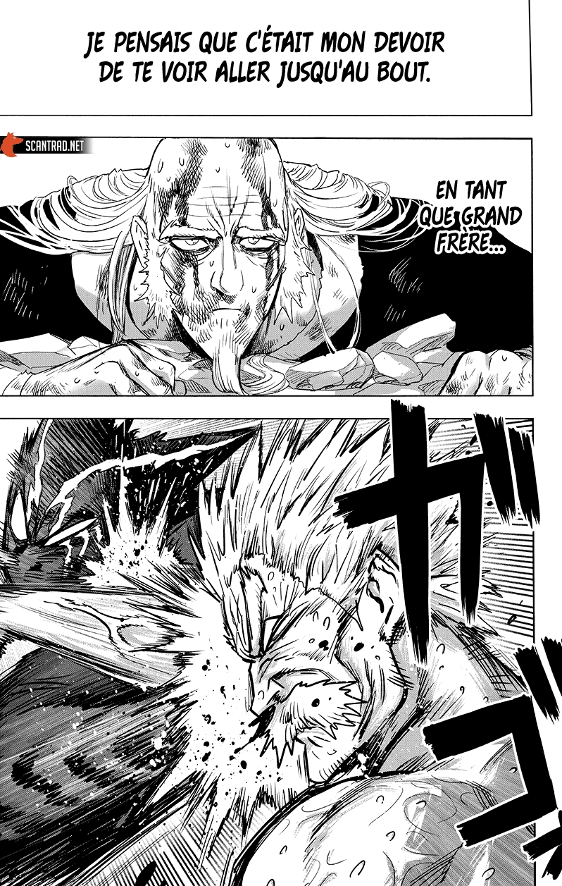 Read One Punch Man scan Manga Online