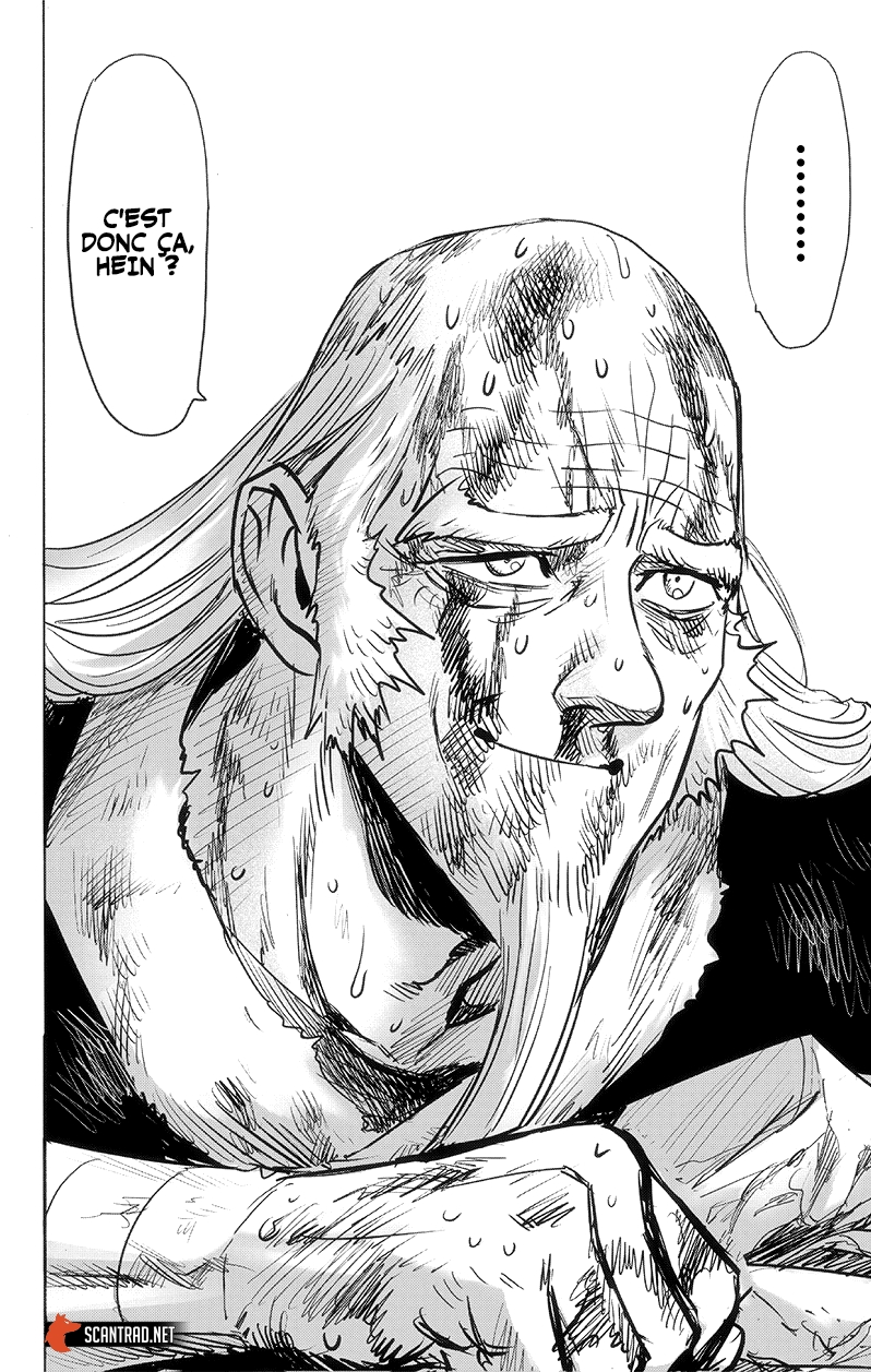 Read One Punch Man scan Manga Online