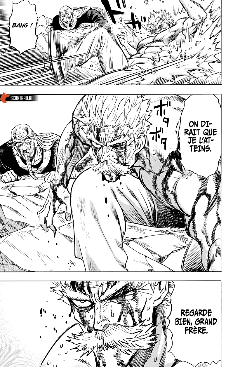 Read One Punch Man scan Manga Online