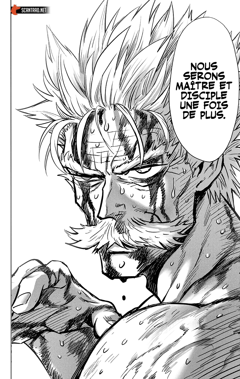 Read One Punch Man scan Manga Online