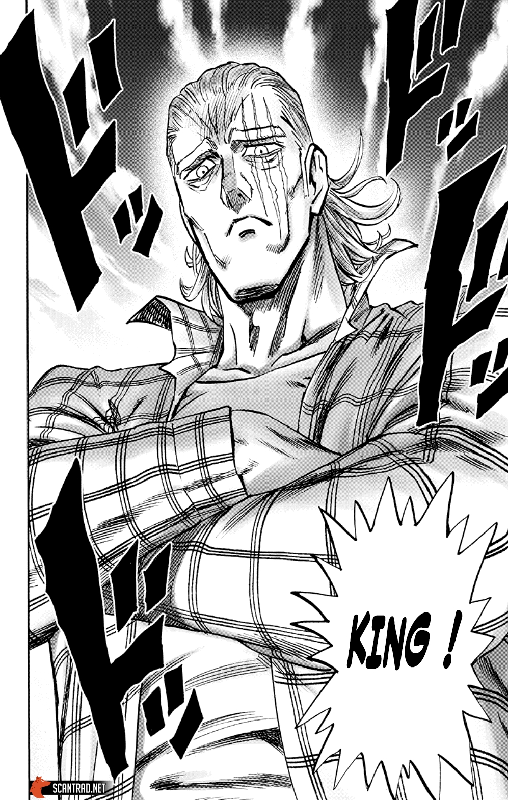 Read One Punch Man scan Manga Online