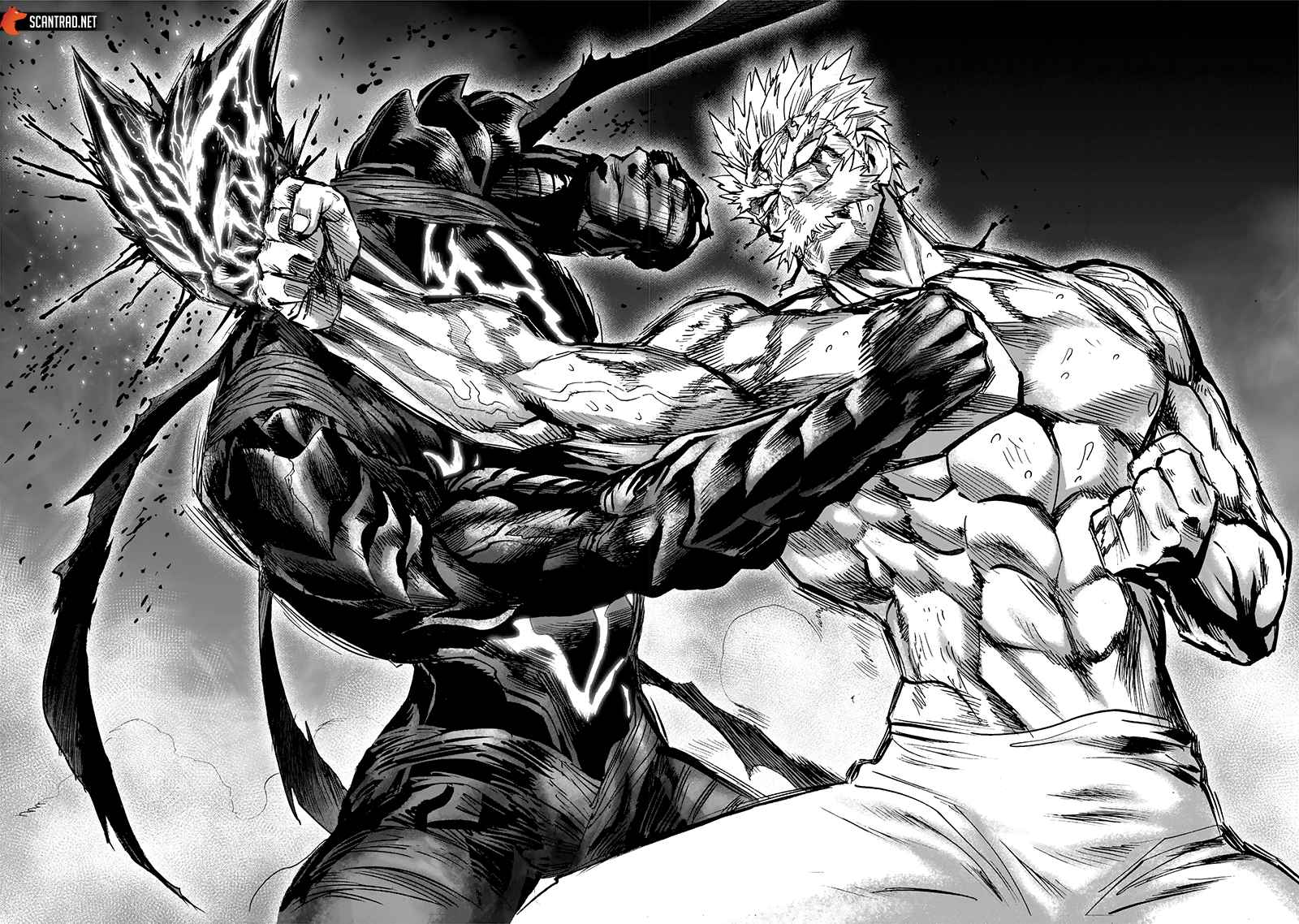 Read One Punch Man scan Manga Online