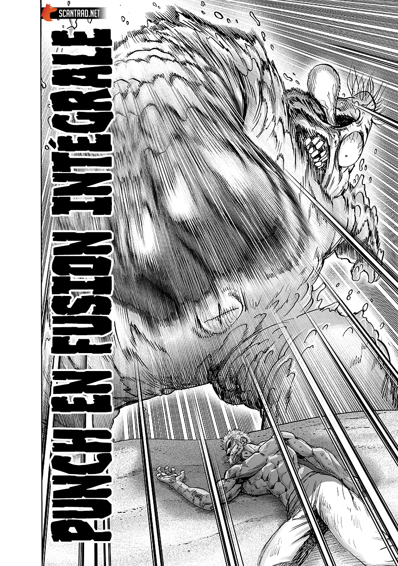 Read One Punch Man scan Manga Online