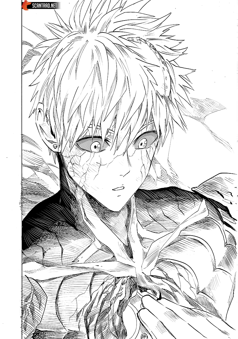 Read One Punch Man scan Manga Online