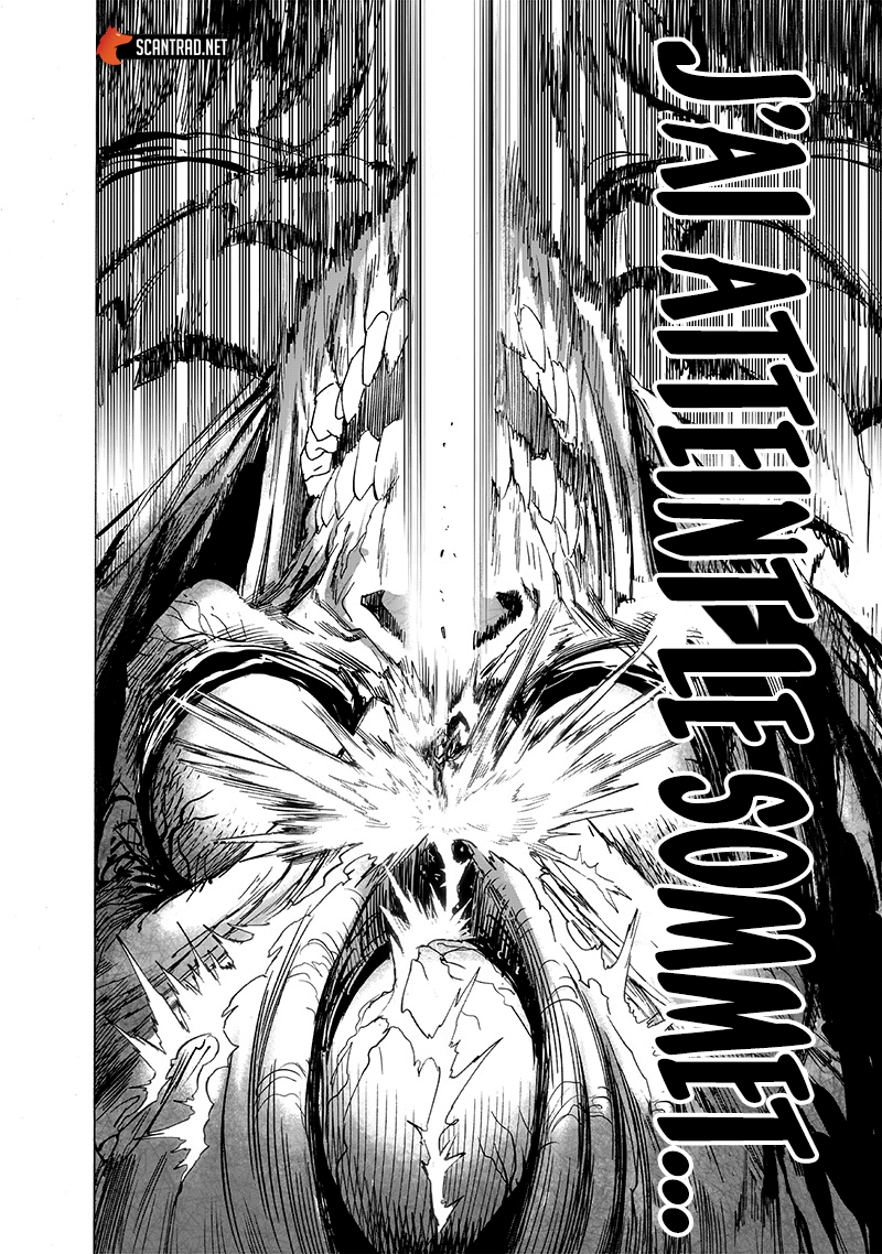 Read One Punch Man scan Manga Online