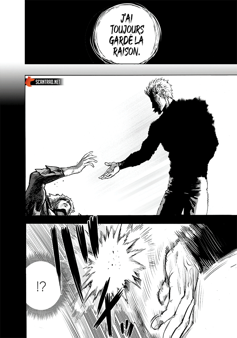 Read One Punch Man scan Manga Online