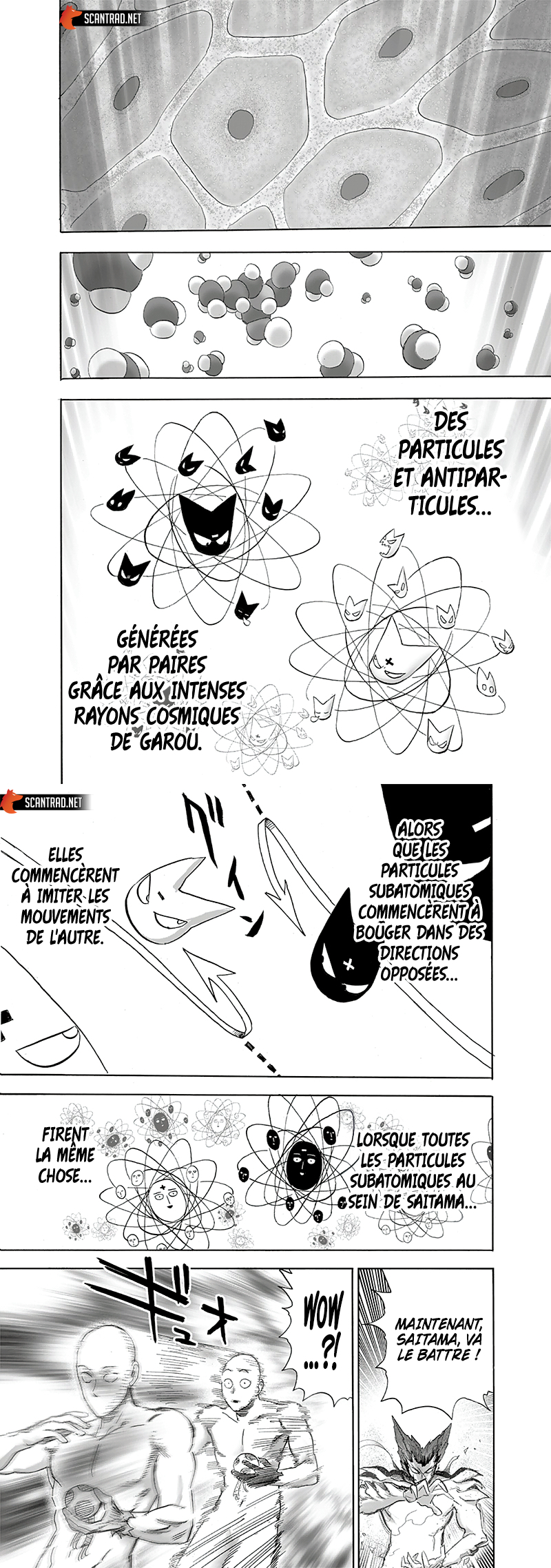 Read One Punch Man scan Manga Online
