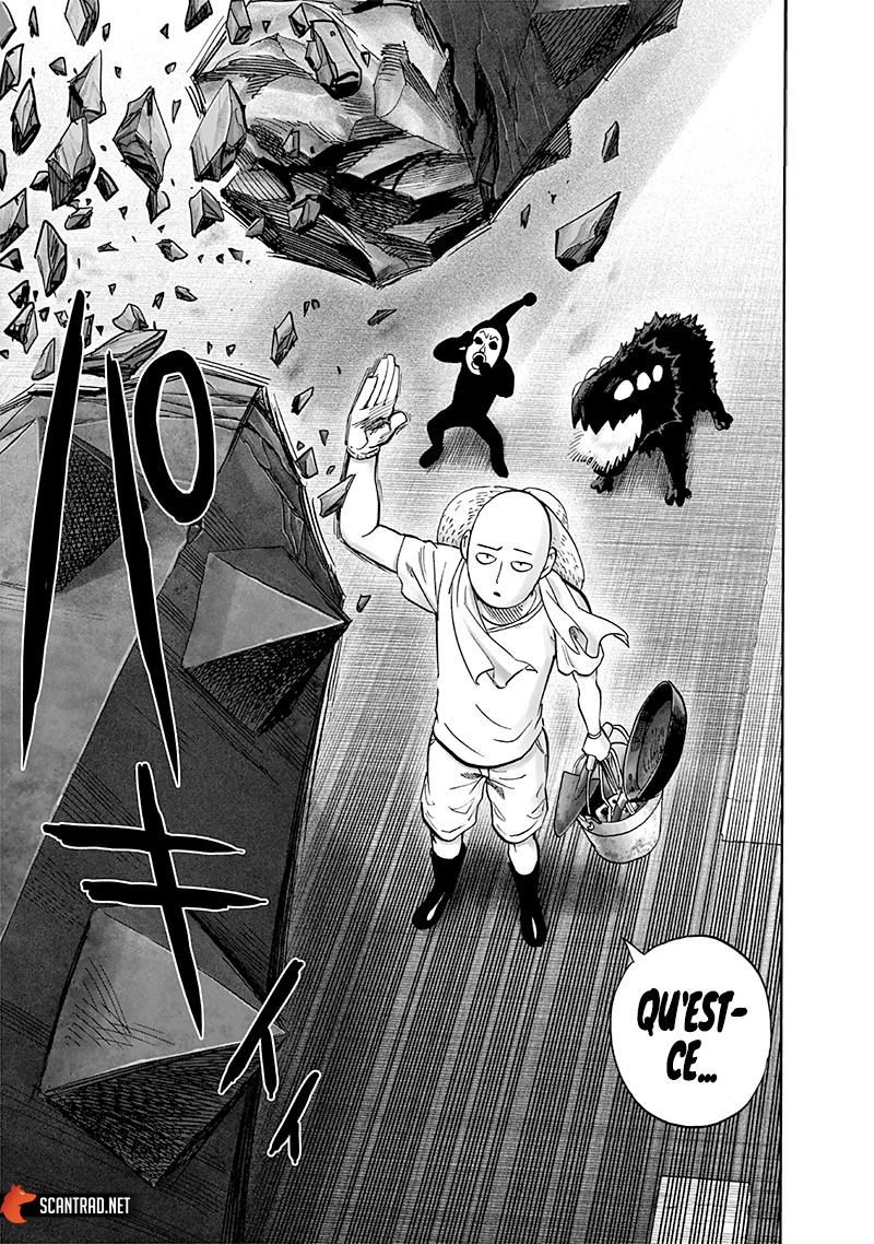 Read One Punch Man scan Manga Online