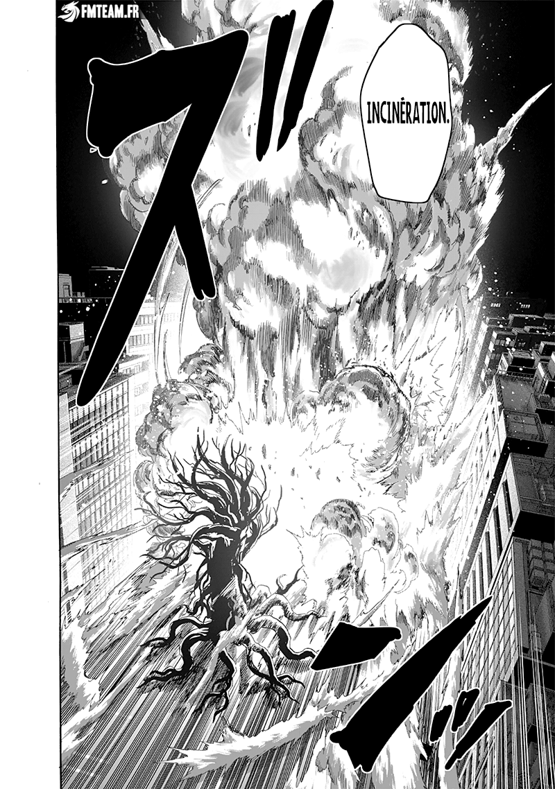 Read One Punch Man scan Manga Online
