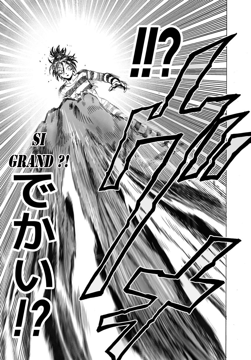 Read One Punch Man scan Manga Online
