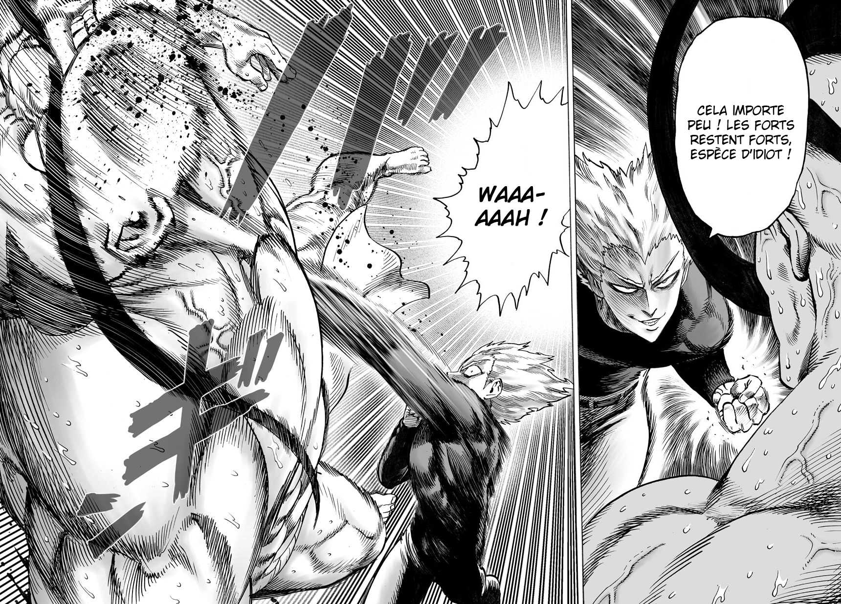 Read One Punch Man scan Manga Online