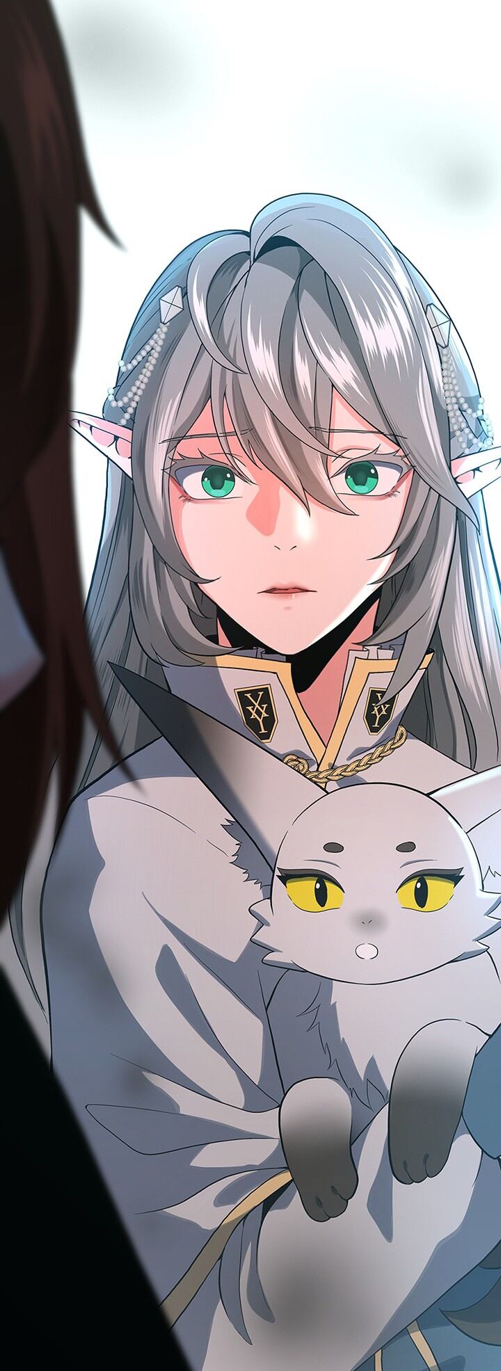 Read The Beginning After The End Scan Manga Online