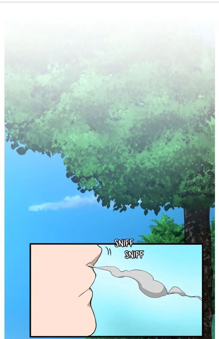 Read The Beginning After The End Scan Manga Online