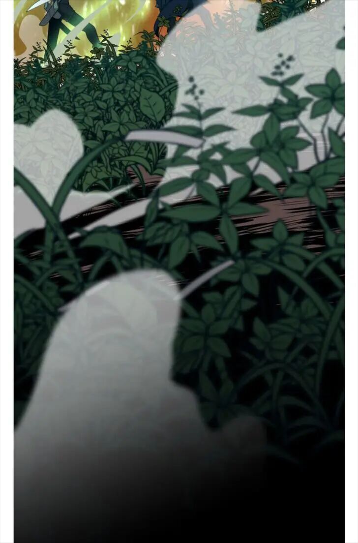 Read The Beginning After The End Scan Manga Online