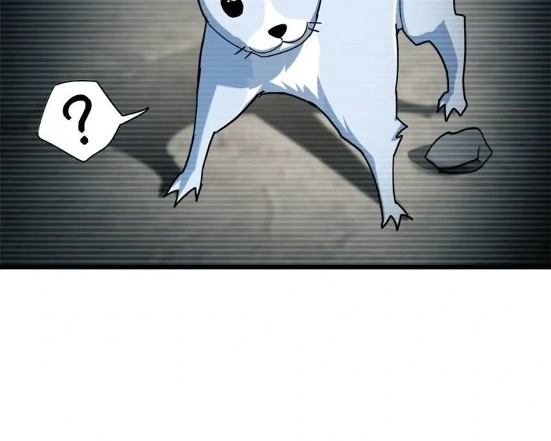 Read A Divina Loja de Mascotes Estelares Pt Manga Online